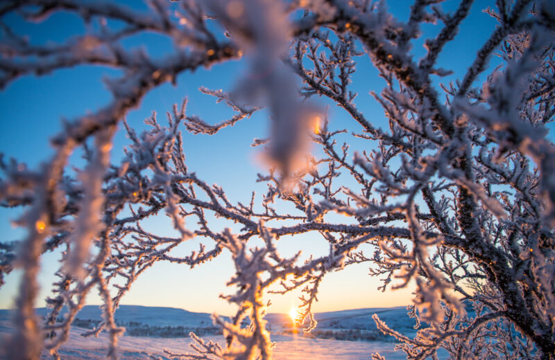 Vossenergi hjornevik arkiv 58615