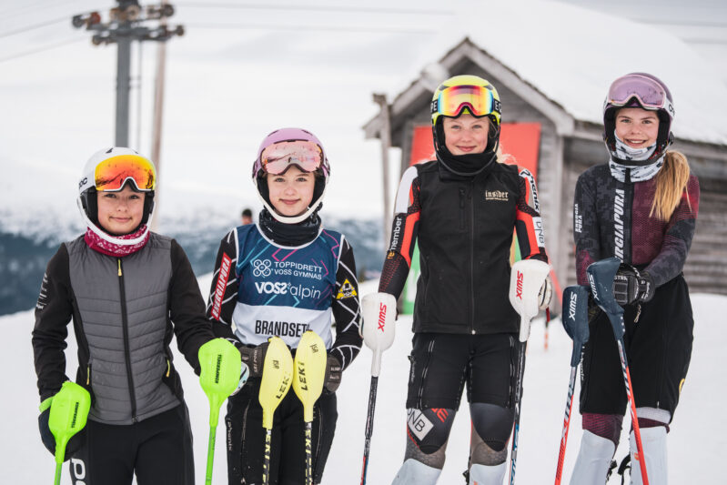 Vossalpin vossenergi vossfiber mediesmio sverrehjornevik 02753