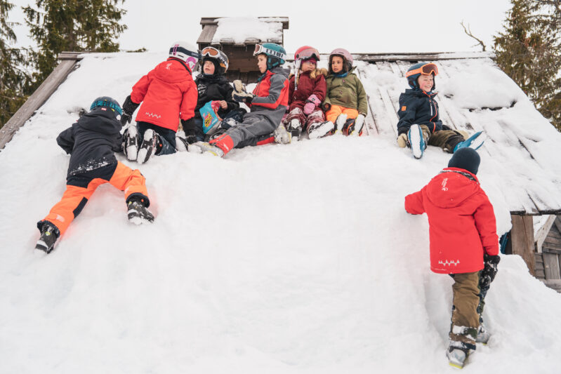 Vossalpin vossenergi vossfiber mediesmio sverrehjornevik 1539