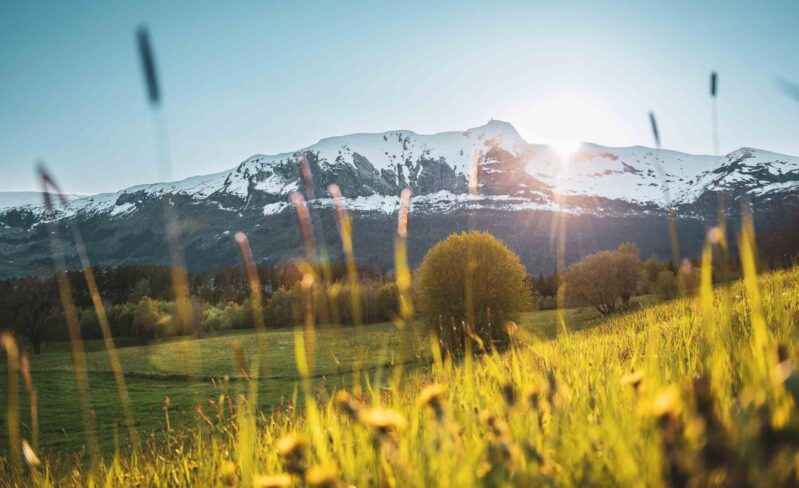 Voss sverrehjornevik 6581