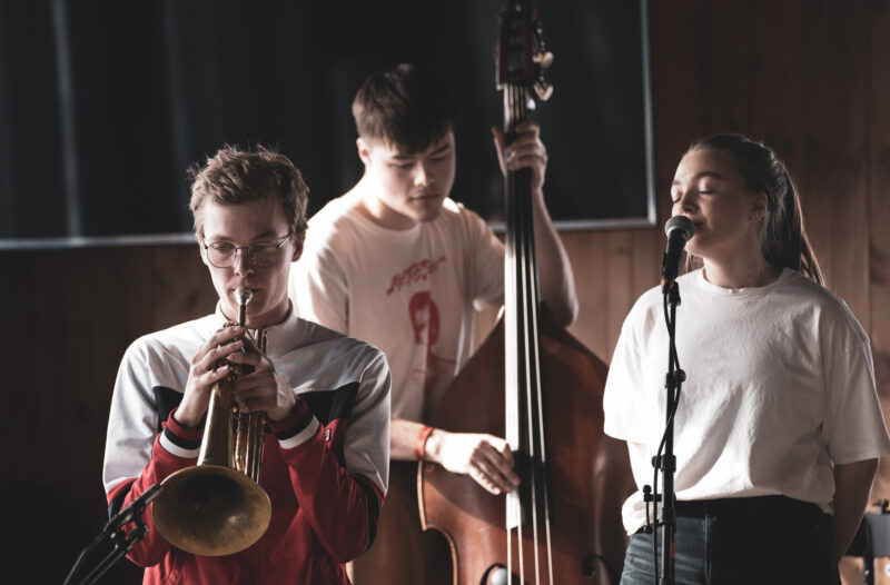 Vossajazz vossenergi mediesmio 07743